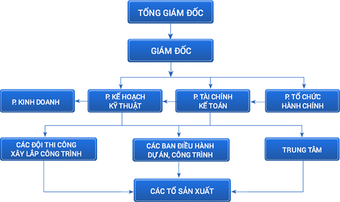 Sơ đồ tổ chức